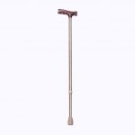 GMP CN5 STD Walking Stick Golden